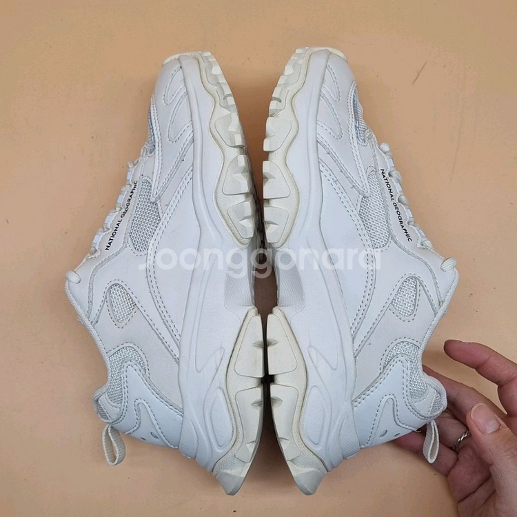 내셔널지오그래픽 트리핀라이노 운동화230--4