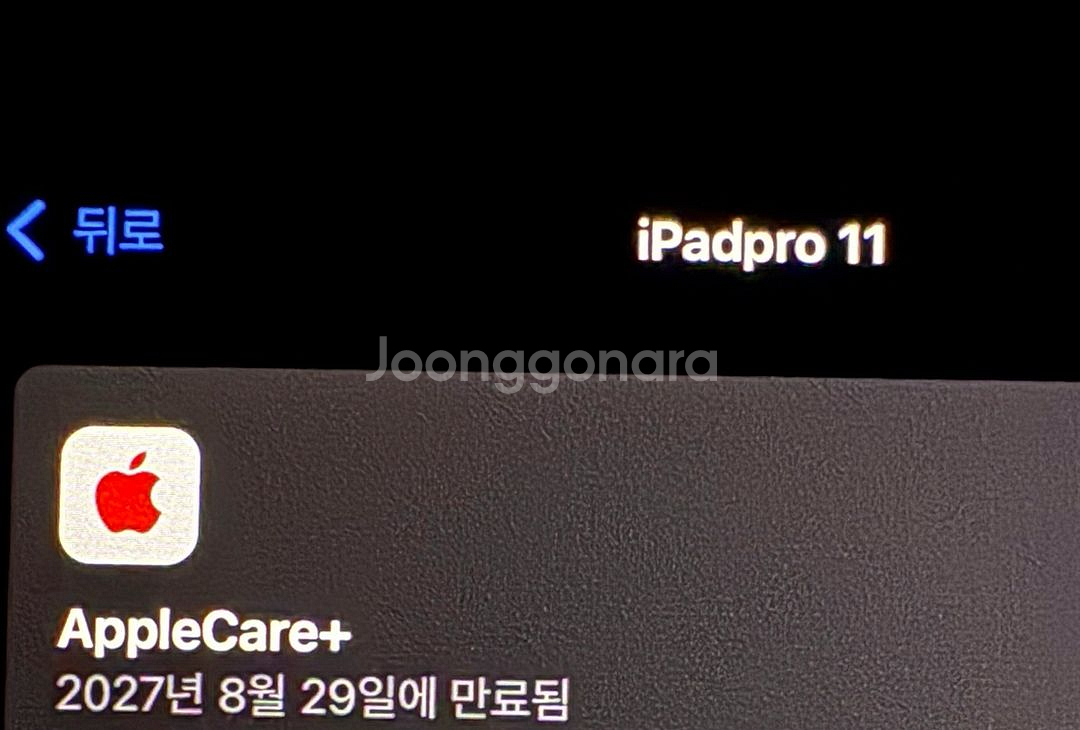 아이패드프로 11인치 wifi 1TB 실버 +애플케어--1