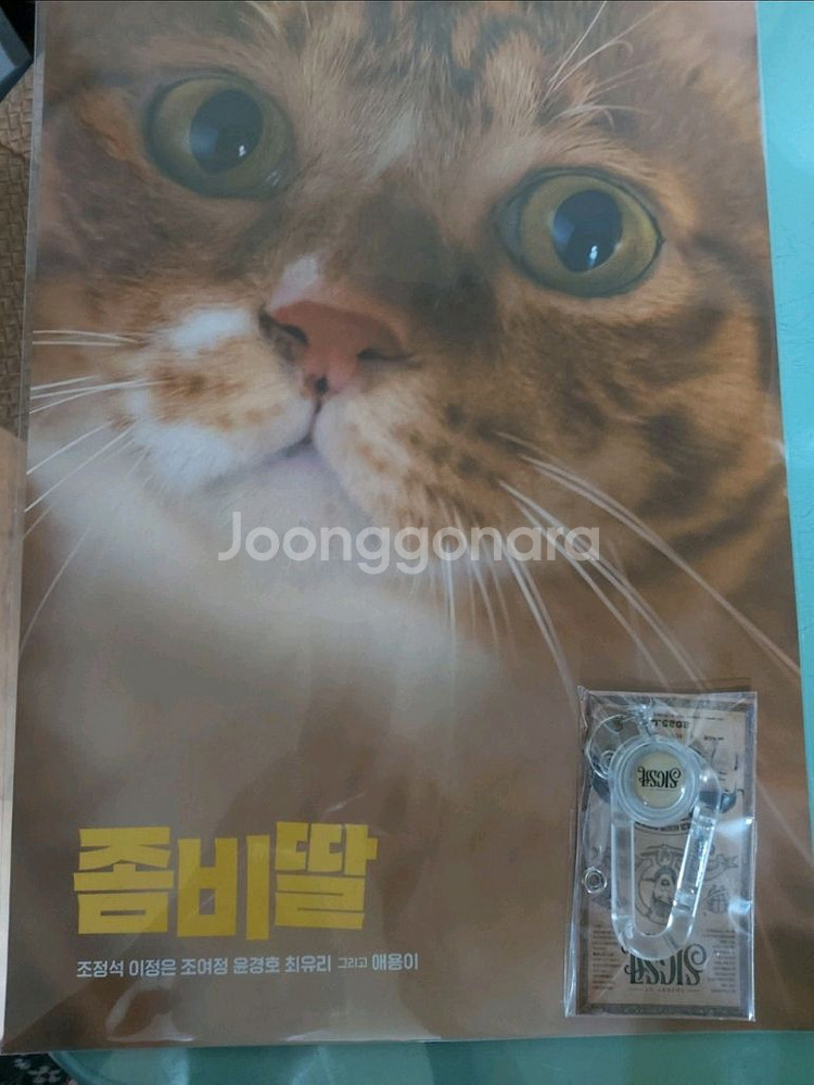 좀비딸 애용이포스터 & 와이어 카라비너 키링(일괄)--0