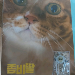 좀비딸 애용이포스터 & 와이어 카라비너 키링(일괄)