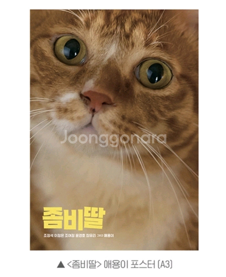 좀비딸 애용이포스터 & 와이어 카라비너 키링(일괄)--2
