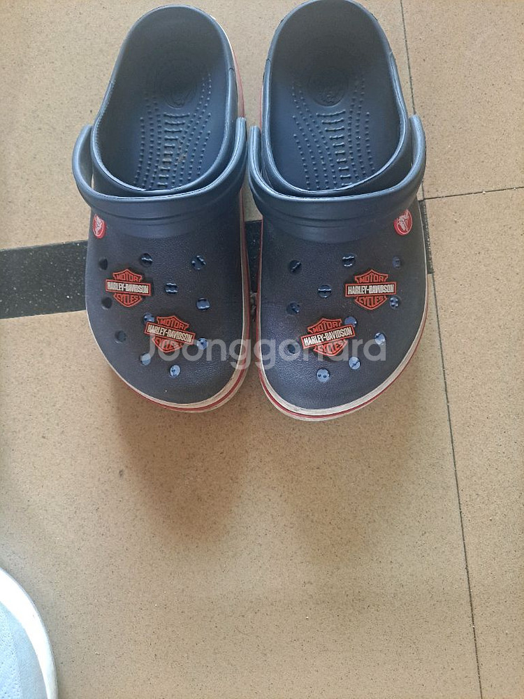 할리데이비슨 크록스 지비츠--3