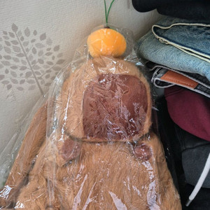 카피바라 인형 택배비 포함 5천원에 팝니다.