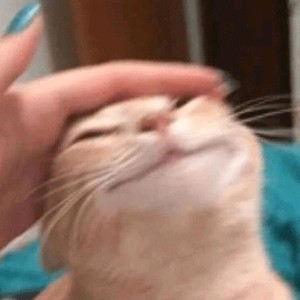 보드게임 구매합니다!