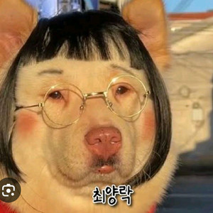 숙박페스타 2만원할인