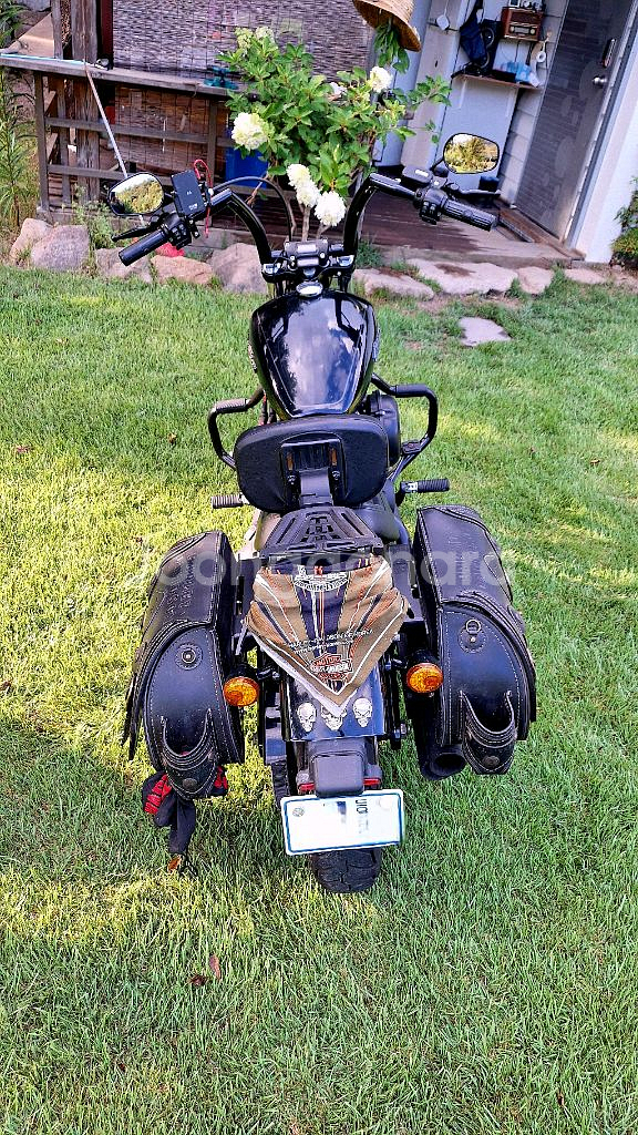 할리데이비슨 스포츠터 오토바이--9