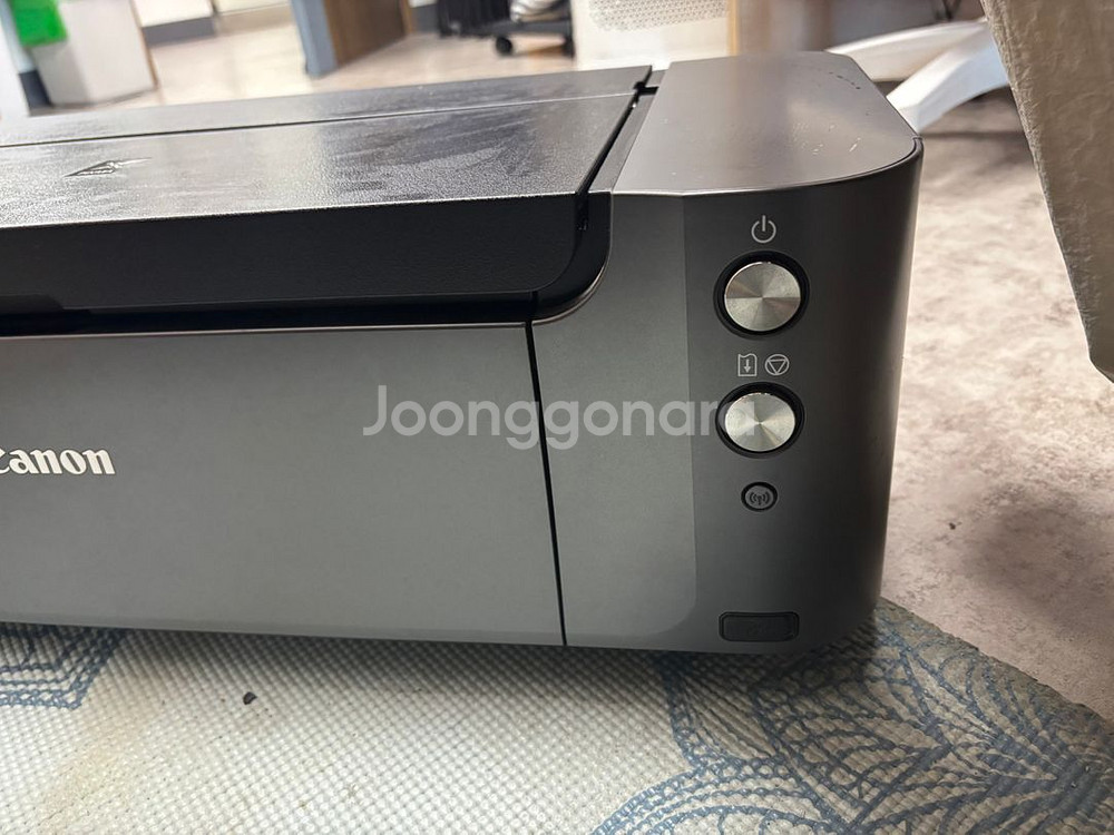 Canon 포토프린터 PIXMA PRO-10--5
