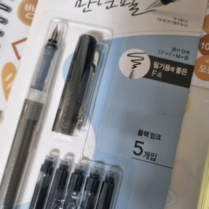 49. 다이소 만년필 F촉