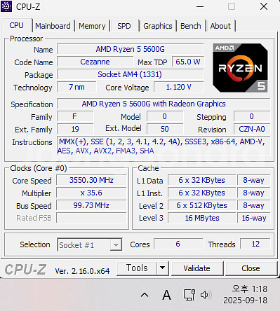 라이젠 5600g cpu 택포--1