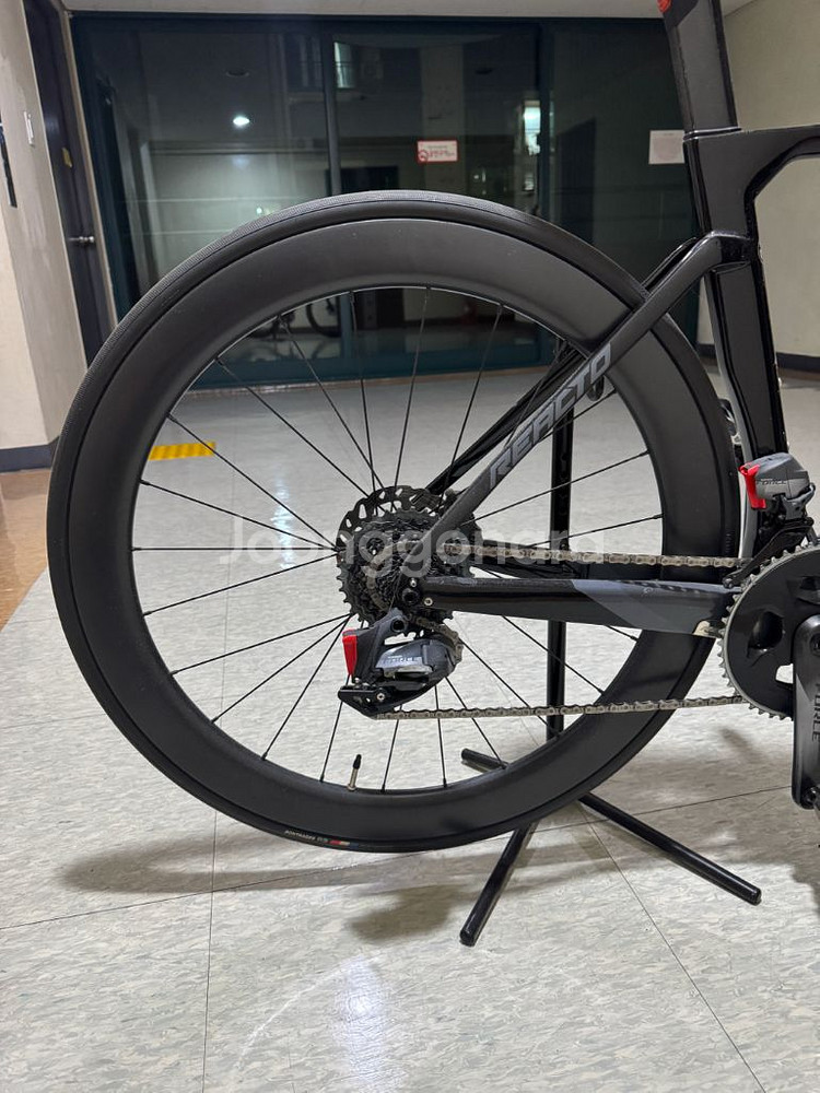 2020 메리다 리액토 포스 에디션--1