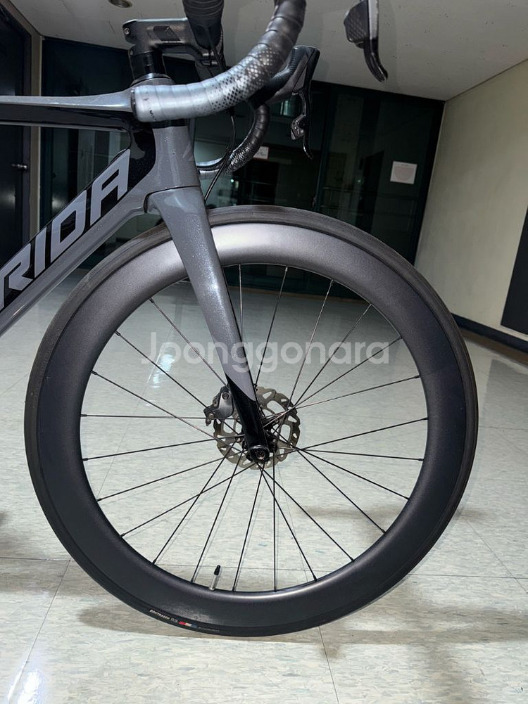 2020 메리다 리액토 포스 에디션--7