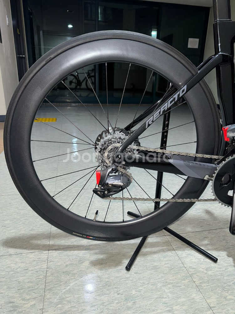 2020 메리다 리액토 포스 에디션--5