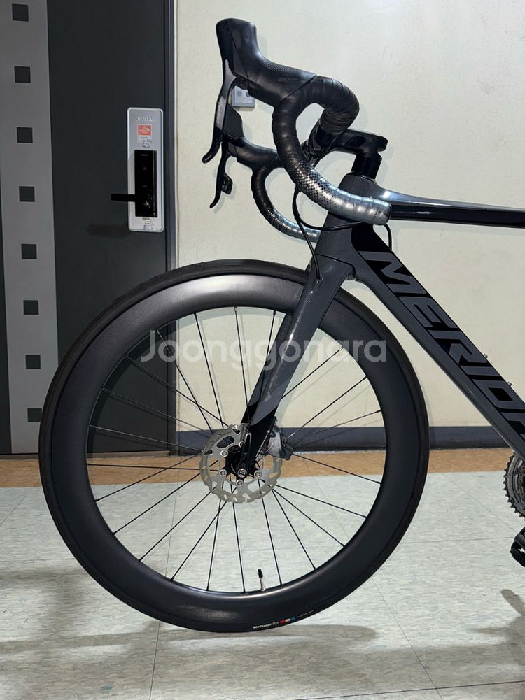 2020 메리다 리액토 포스 에디션--4