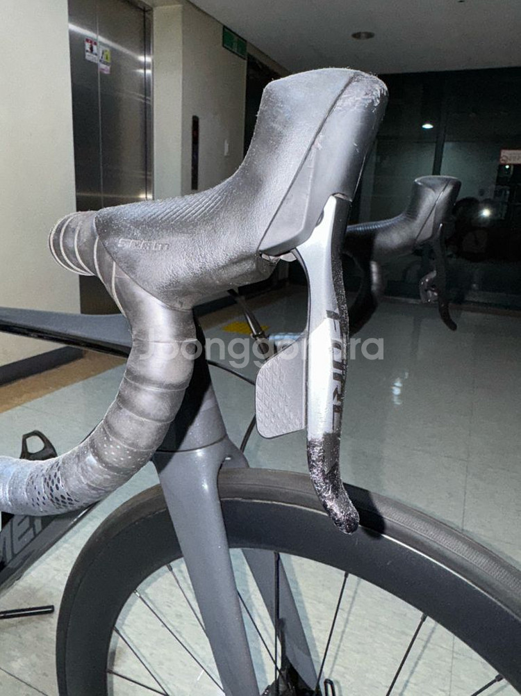 2020 메리다 리액토 포스 에디션--8