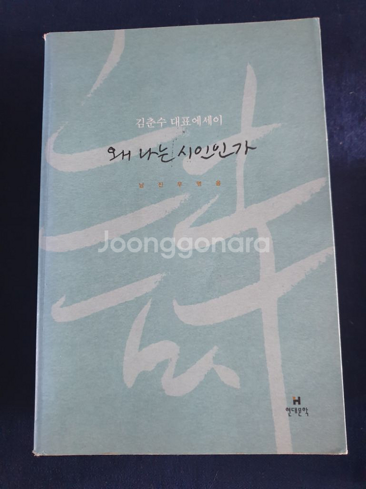 왜 나는 시인인가 김춘수 대표 에세이--0