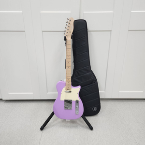 헥스 텔레캐스터 일렉기타 T100 퍼플