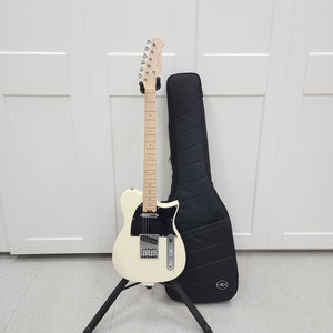 헥스 텔레캐스터 일렉기타 T100 아이보리