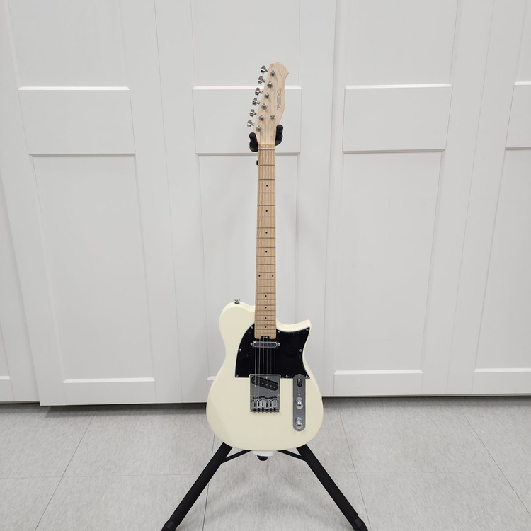 헥스 텔레캐스터 일렉기타 T100 아이보리--1