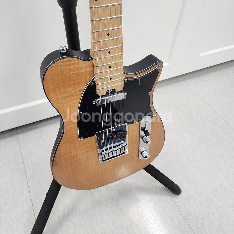 헥스 텔레캐스터 일렉기타 T200 NT--5