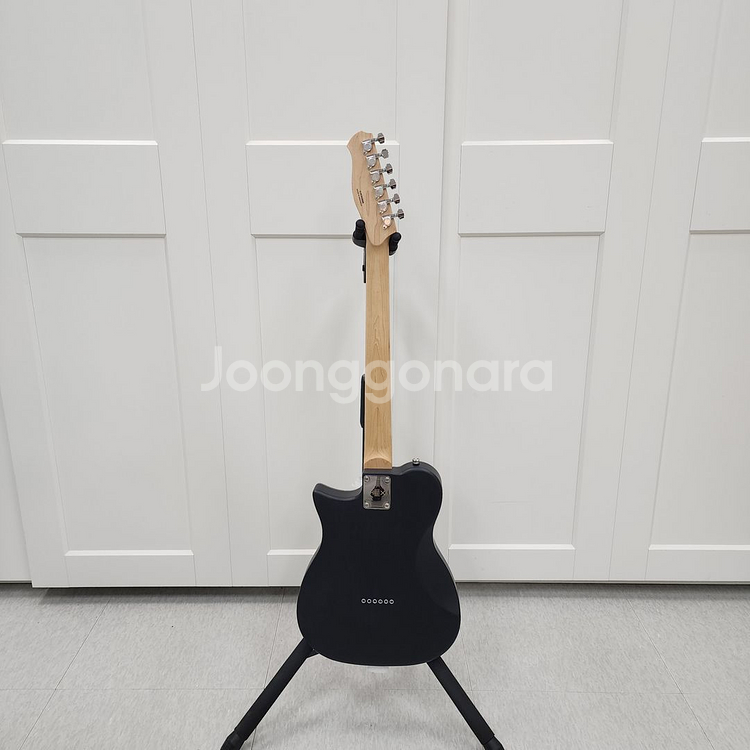헥스 텔레캐스터 일렉기타 T200 NT--8