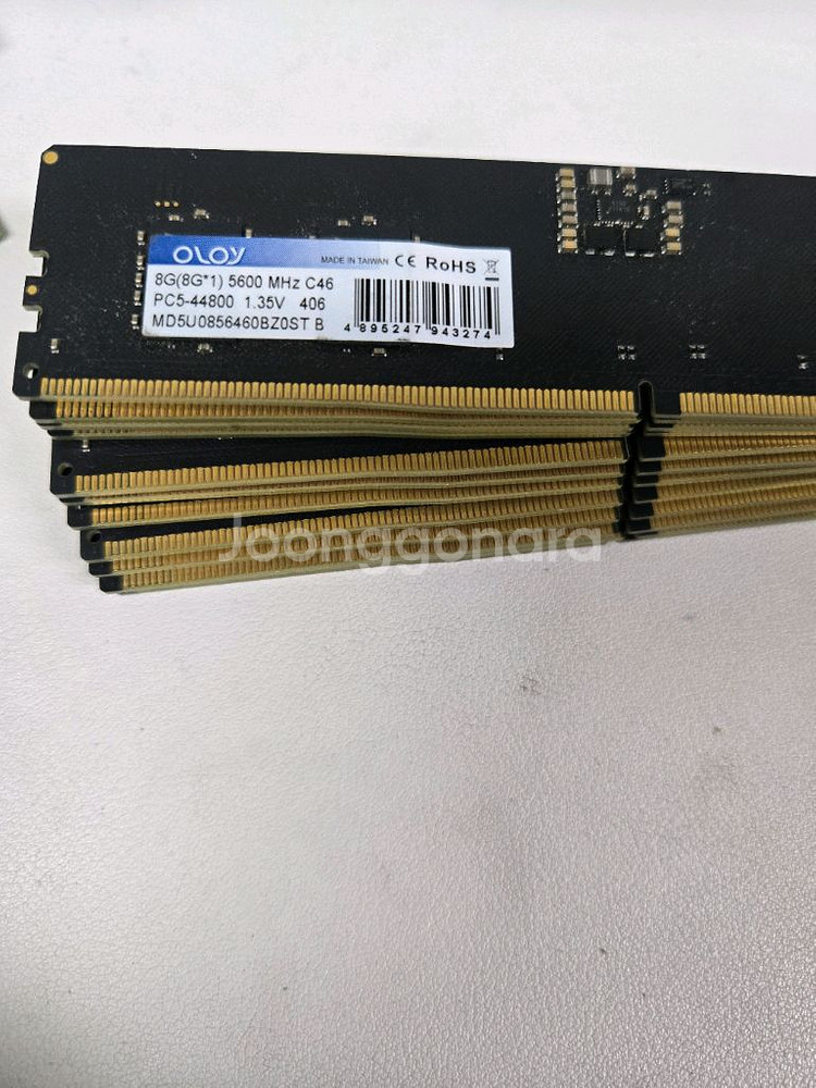 oloy ddr5 5600 8g램 12개--0