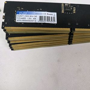 oloy ddr5 5600 8g램 12개