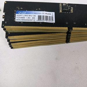 oloy ddr5 5600 8g램 12개