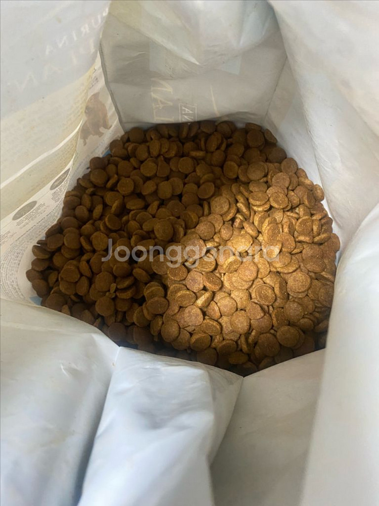 퓨리나 프로플랜사료 15.4kg 대형견 프리미엄사료--3