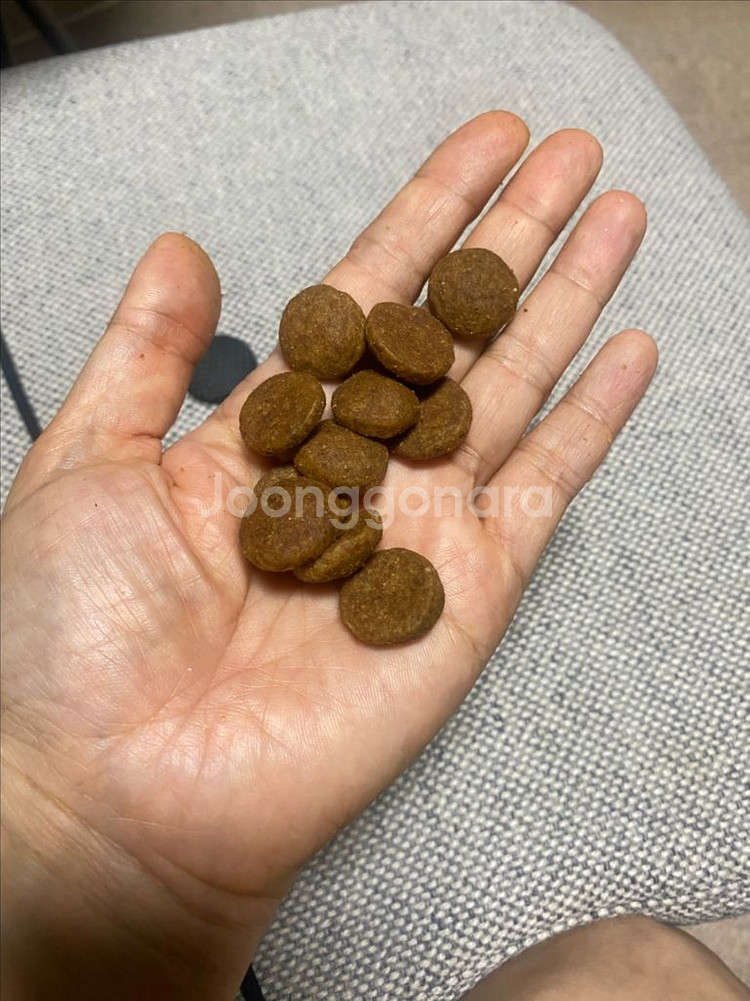 퓨리나 프로플랜사료 15.4kg 대형견 프리미엄사료--4