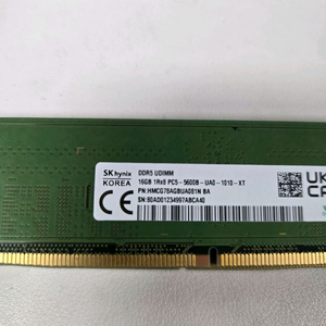 하이닉스 ddr5 16gb 5600 램