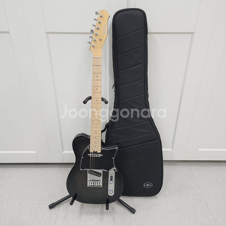 헥스 텔레캐스터 일렉기타 T200 블랙--0