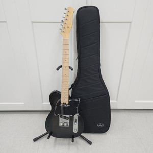 헥스 텔레캐스터 일렉기타 T200 블랙