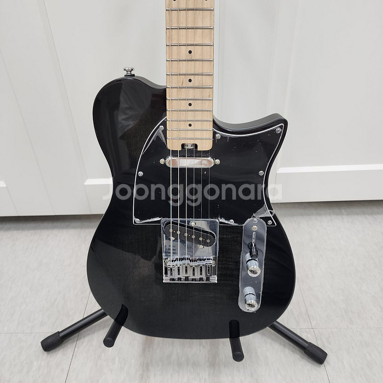 헥스 텔레캐스터 일렉기타 T200 블랙--2