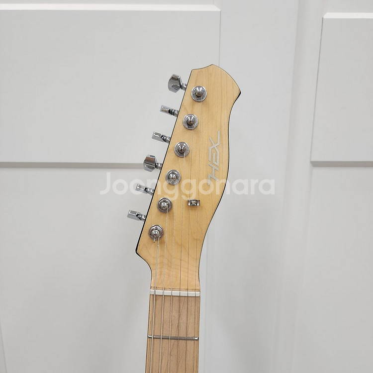 헥스 텔레캐스터 일렉기타 T200 블랙--7