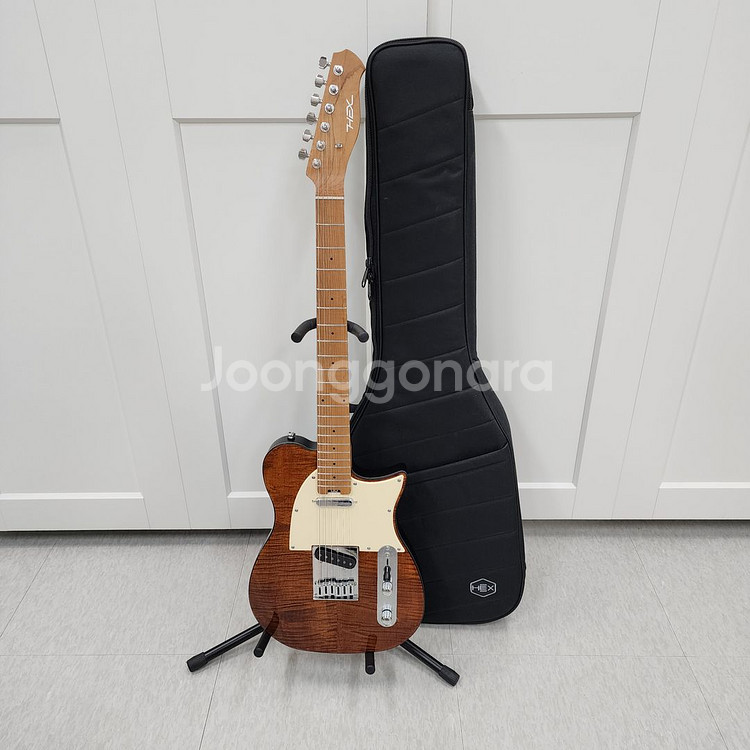 헥스 텔레캐스터 일렉기타 T200 VN--0