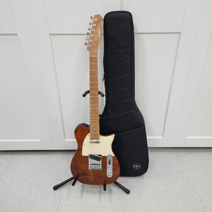 헥스 텔레캐스터 일렉기타 T200 VN