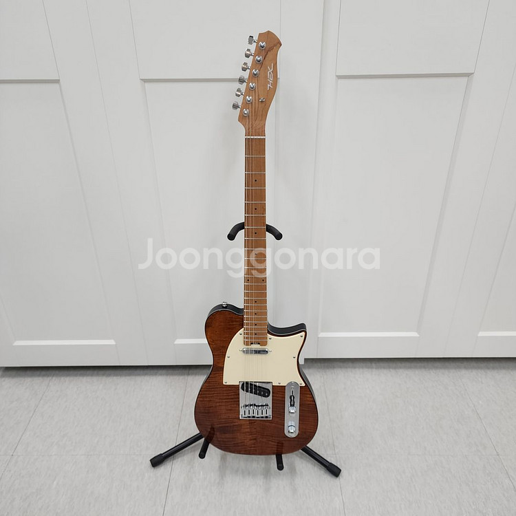 헥스 텔레캐스터 일렉기타 T200 VN--1