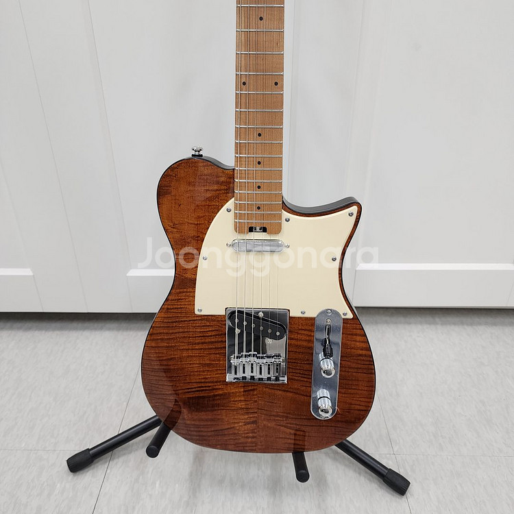 헥스 텔레캐스터 일렉기타 T200 VN--2