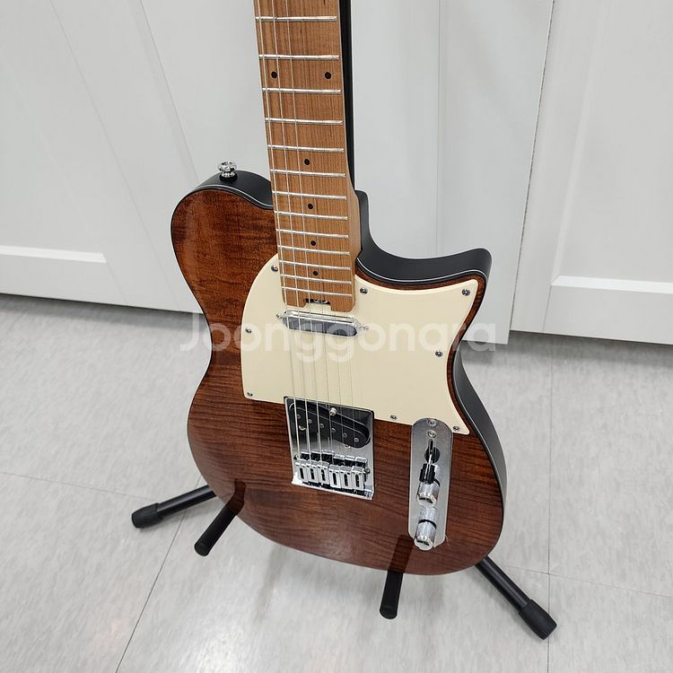 헥스 텔레캐스터 일렉기타 T200 VN--3