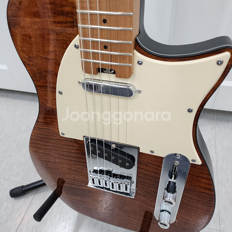 헥스 텔레캐스터 일렉기타 T200 VN--4