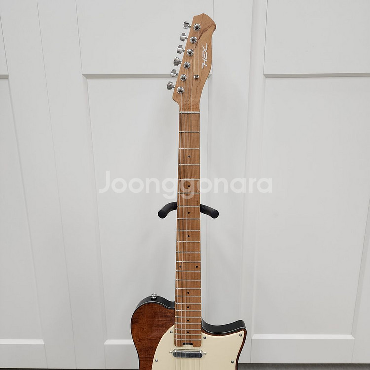 헥스 텔레캐스터 일렉기타 T200 VN--6