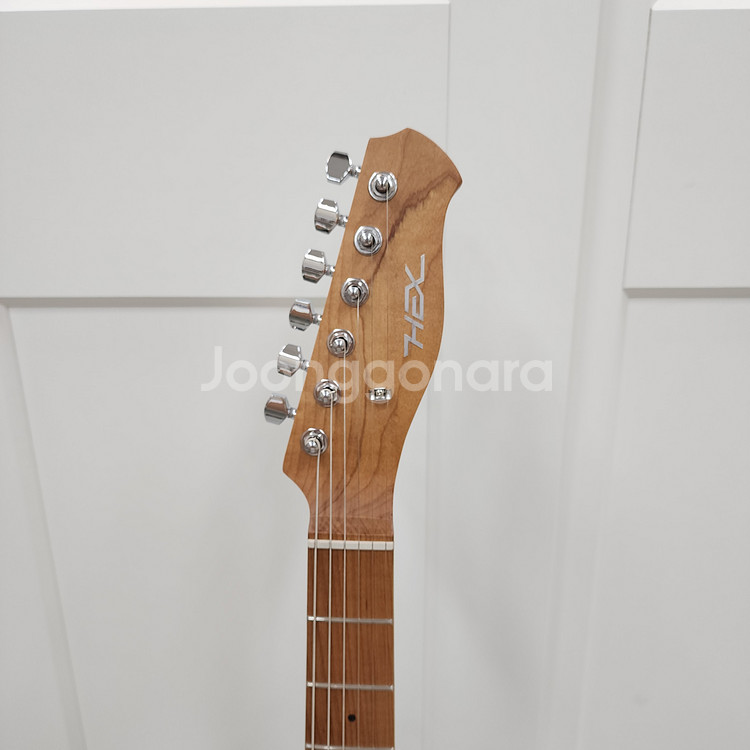 헥스 텔레캐스터 일렉기타 T200 VN--7