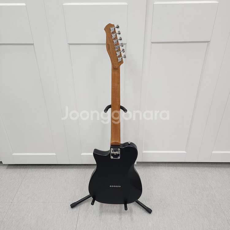 헥스 텔레캐스터 일렉기타 T200 VN--8