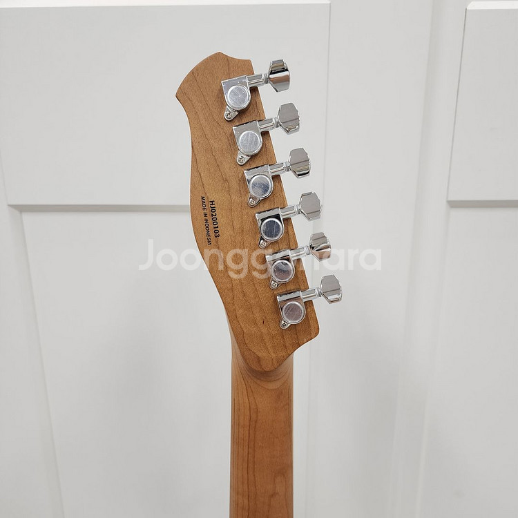 헥스 텔레캐스터 일렉기타 T200 VN--9