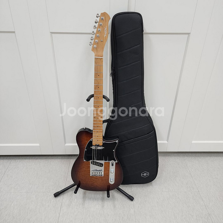 헥스 텔레캐스터 일렉기타 T200 VB--0