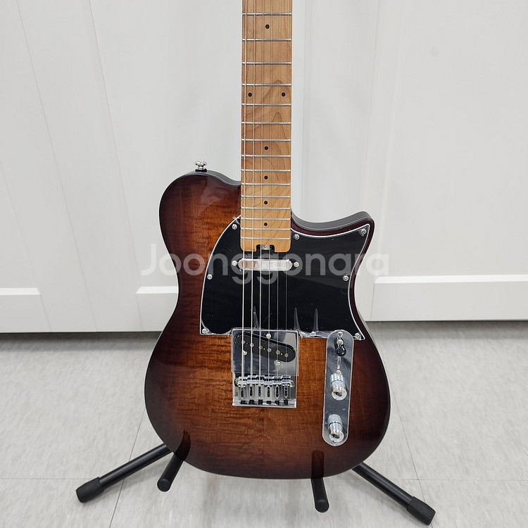 헥스 텔레캐스터 일렉기타 T200 VB--2