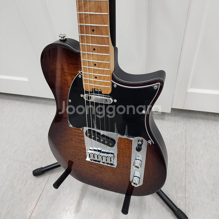 헥스 텔레캐스터 일렉기타 T200 VB--3