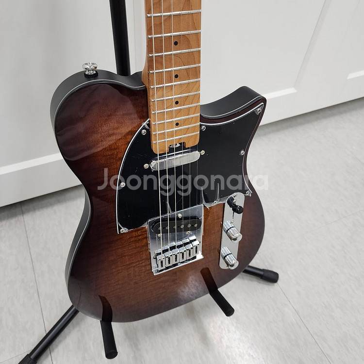 헥스 텔레캐스터 일렉기타 T200 VB--5