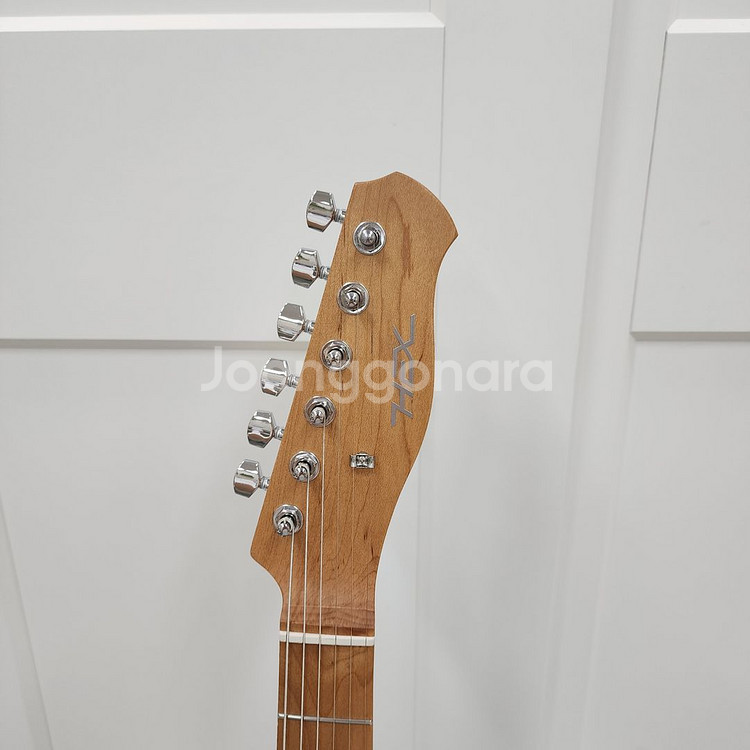 헥스 텔레캐스터 일렉기타 T200 VB--7