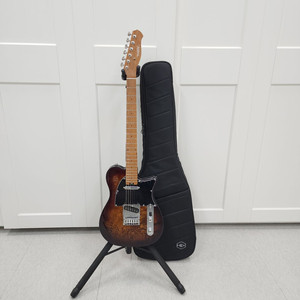 헥스 텔레캐스터 일렉기타 T260 VB